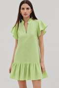 Lime Green Gingham Flutter Sleeve Mini Dress