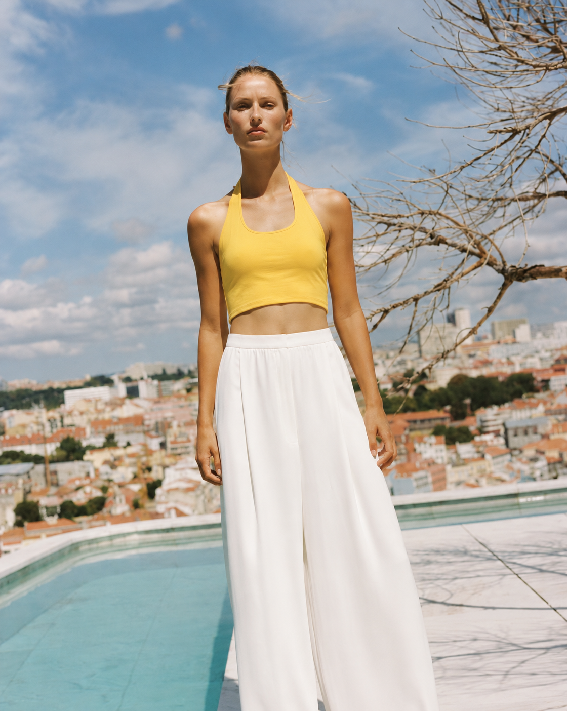 Cation Yellow Solid Top